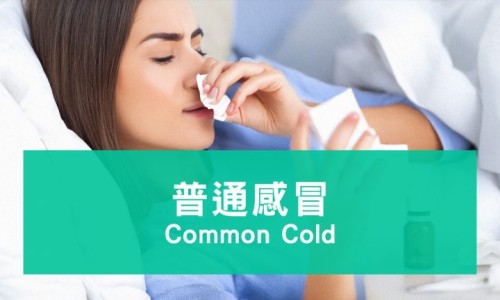 备孕期间每天吃多少核桃网 - 网站提供备孕一天吃几个核桃最好小常识、女人备孕每天吃核桃的好处