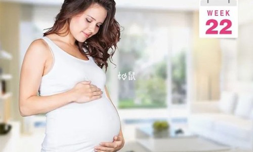 备孕期间每天吃多少核桃网 - 网站提供备孕一天吃几个核桃最好小常识、女人备孕每天吃核桃的好处