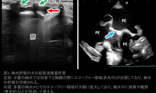 备孕吃核桃的6大忌-备孕期间每天吃多少核桃网 - 网站提供备孕一天吃几个核桃最好小常识、女人备孕每天吃核桃的好处